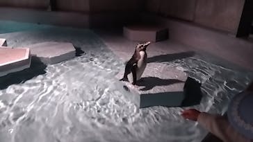 AOAO SAPPOROに投稿された画像（2024/5/4）