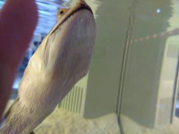 AOAO SAPPOROに投稿された画像（2024/5/4）