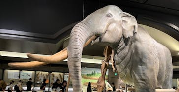 滋賀県立琵琶湖博物館に投稿された画像（2024/5/4）