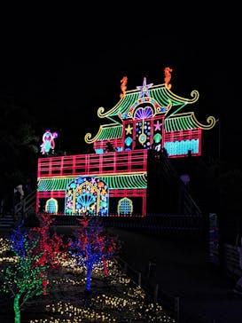 伊豆ぐらんぱる公園に投稿された画像（2024/5/4）