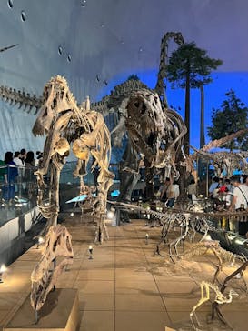 福井県立恐竜博物館に投稿された画像（2024/5/4）