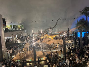 福井県立恐竜博物館に投稿された画像（2024/5/4）