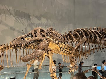 福井県立恐竜博物館に投稿された画像（2024/5/4）