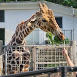 沖縄こどもの国に投稿された画像（2024/5/4）