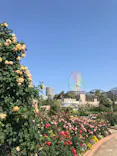 ひらかたパークに投稿された画像（2024/5/4）