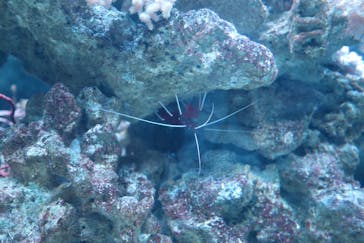 マクセル アクアパーク品川に投稿された画像（2024/5/4）