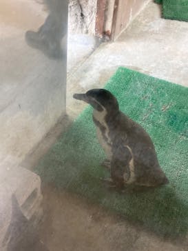 東武動物公園に投稿された画像（2024/5/4）