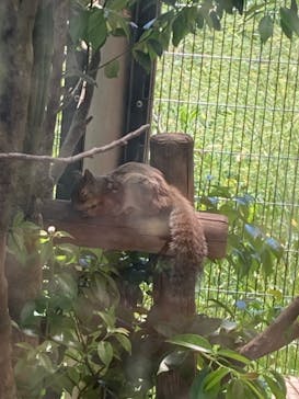 東武動物公園に投稿された画像（2024/5/4）