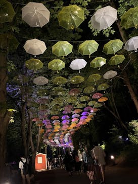 ムーミンバレーパークに投稿された画像（2024/5/4）