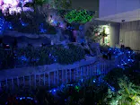 サンシャイン水族館に投稿された画像（2024/5/4）