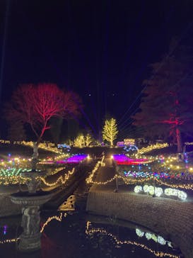 修善寺虹の郷に投稿された画像（2024/5/4）