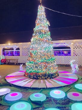 修善寺虹の郷に投稿された画像（2024/5/4）