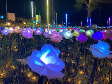 修善寺虹の郷に投稿された画像（2024/5/4）