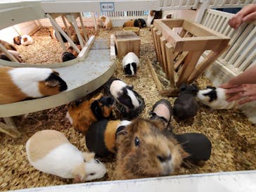 アニタッチみなとみらいに投稿された画像（2024/5/4）