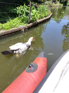 伊豆ぐらんぱる公園に投稿された画像（2024/5/4）