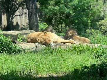 到津の森公園に投稿された画像（2024/5/4）