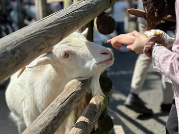 到津の森公園に投稿された画像（2024/5/4）