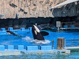 名古屋港水族館に投稿された画像（2024/5/4）