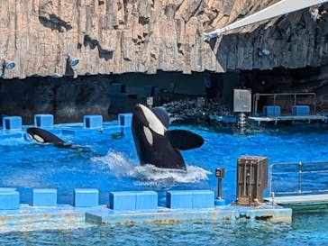 名古屋港水族館に投稿された画像（2024/5/4）
