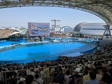 名古屋港水族館に投稿された画像（2024/5/4）