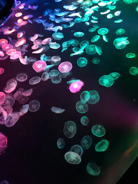 すみだ水族館に投稿された画像（2024/5/4）