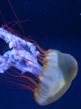 すみだ水族館に投稿された画像（2024/5/4）