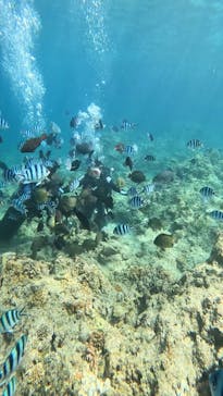 武藤潜水に投稿された画像（2024/5/4）