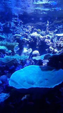 名古屋港水族館に投稿された画像（2024/5/4）