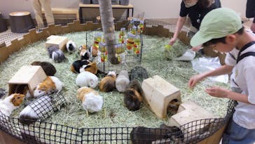 カワスイ 川崎⽔族館に投稿された画像（2024/5/4）