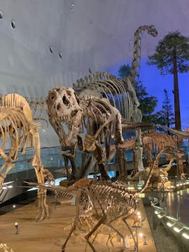 福井県立恐竜博物館に投稿された画像（2024/5/4）