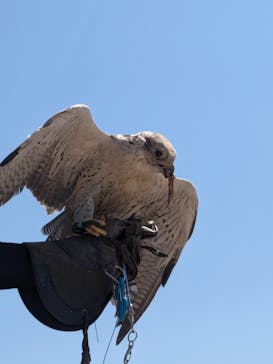 那須どうぶつ王国に投稿された画像（2024/5/4）