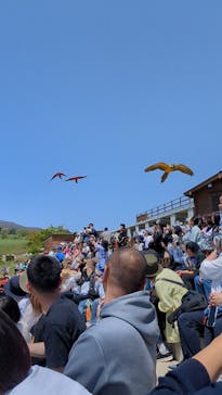 那須どうぶつ王国に投稿された画像（2024/5/4）