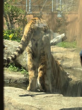 那須どうぶつ王国に投稿された画像（2024/5/4）