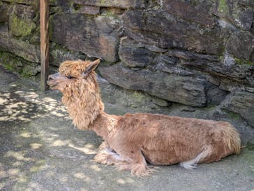 長崎バイオパークに投稿された画像（2024/5/4）