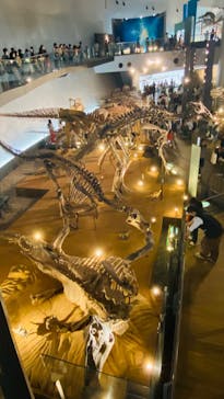 福井県立恐竜博物館に投稿された画像（2024/5/4）