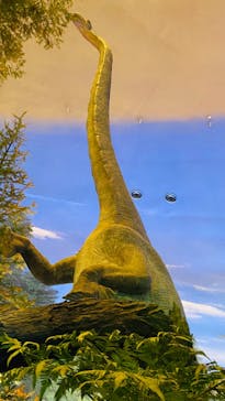 福井県立恐竜博物館に投稿された画像（2024/5/4）