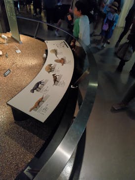 国立科学博物館に投稿された画像（2024/5/4）