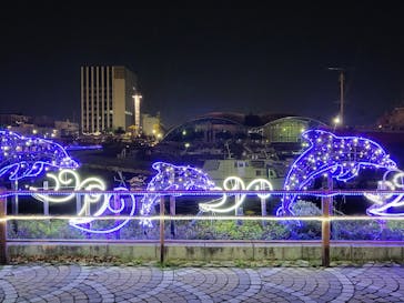 名古屋港水族館に投稿された画像（2024/5/4）