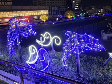 名古屋港水族館に投稿された画像（2024/5/4）