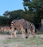 姫路セントラルパークに投稿された画像（2024/5/5）