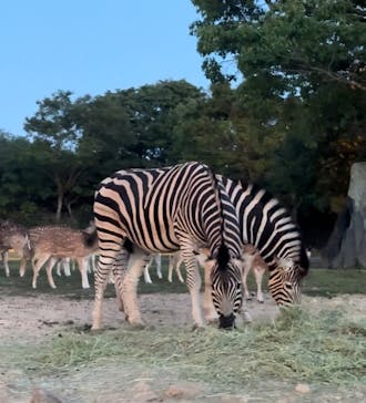 姫路セントラルパークに投稿された画像（2024/5/4）