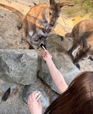 姫路セントラルパークに投稿された画像（2024/5/4）