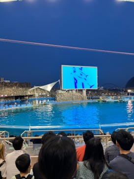 名古屋港水族館に投稿された画像（2024/5/4）