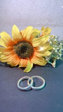 Caravella（カラベラ）に投稿された画像（2024/5/4）