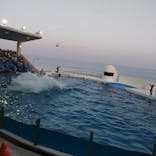 鴨川シーワールドに投稿された画像（2024/5/5）