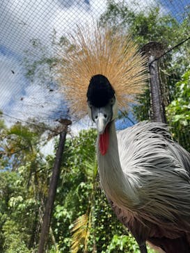 美らヤシパークオキナワ・東南植物楽園に投稿された画像（2024/5/4）