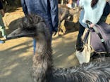 伊豆シャボテン動物公園に投稿された画像（2024/5/5）