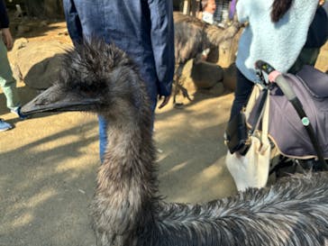 伊豆シャボテン動物公園に投稿された画像（2024/5/4）