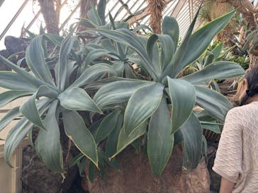 伊豆シャボテン動物公園に投稿された画像（2024/5/4）