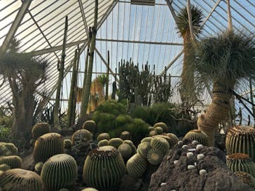 伊豆シャボテン動物公園に投稿された画像（2024/5/4）